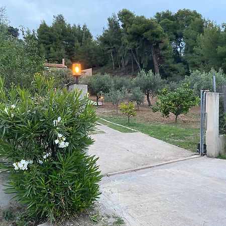 Askalosia Villa Ágios Geórgios Extérieur photo