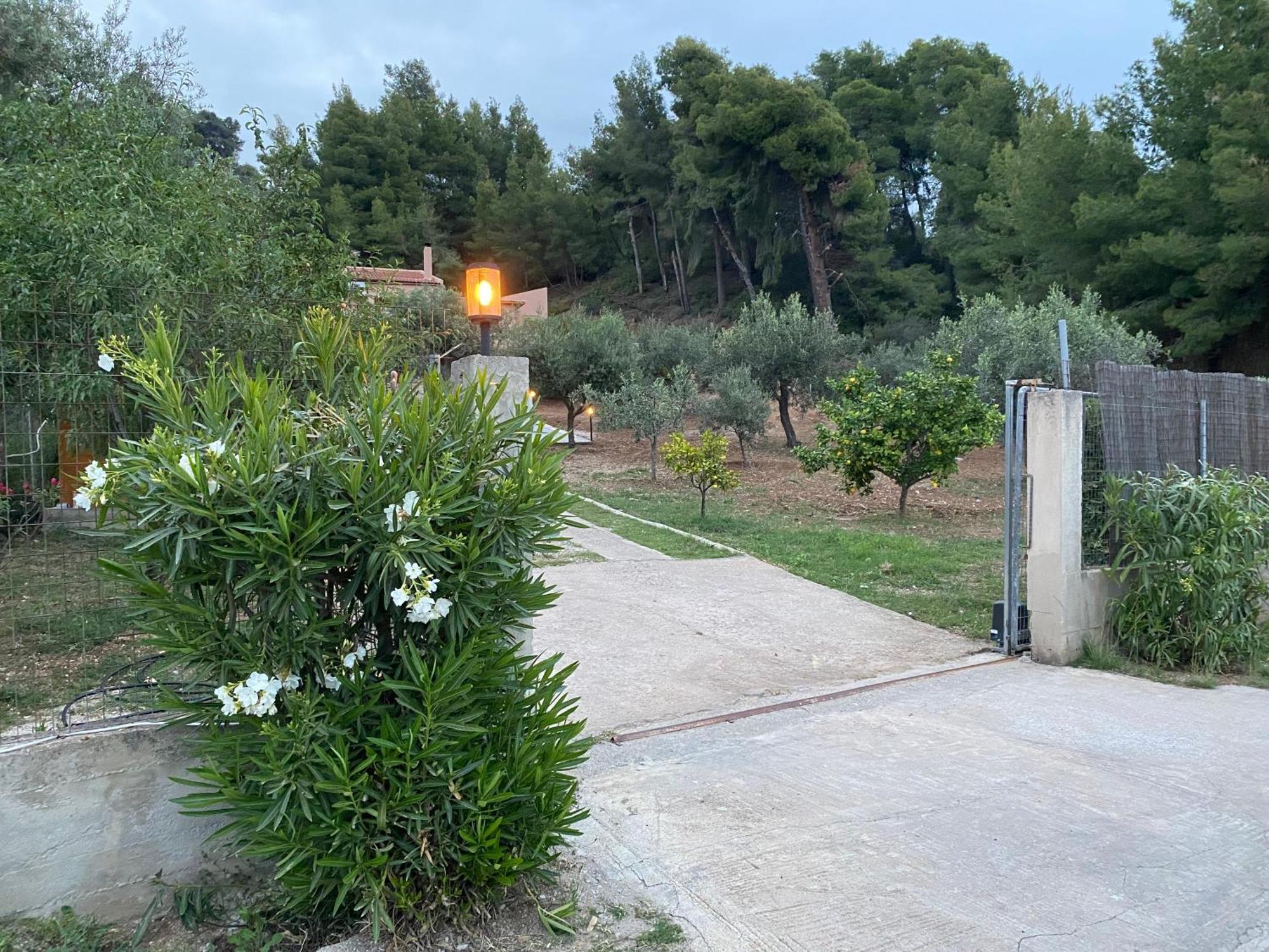 Askalosia Villa Ágios Geórgios Extérieur photo