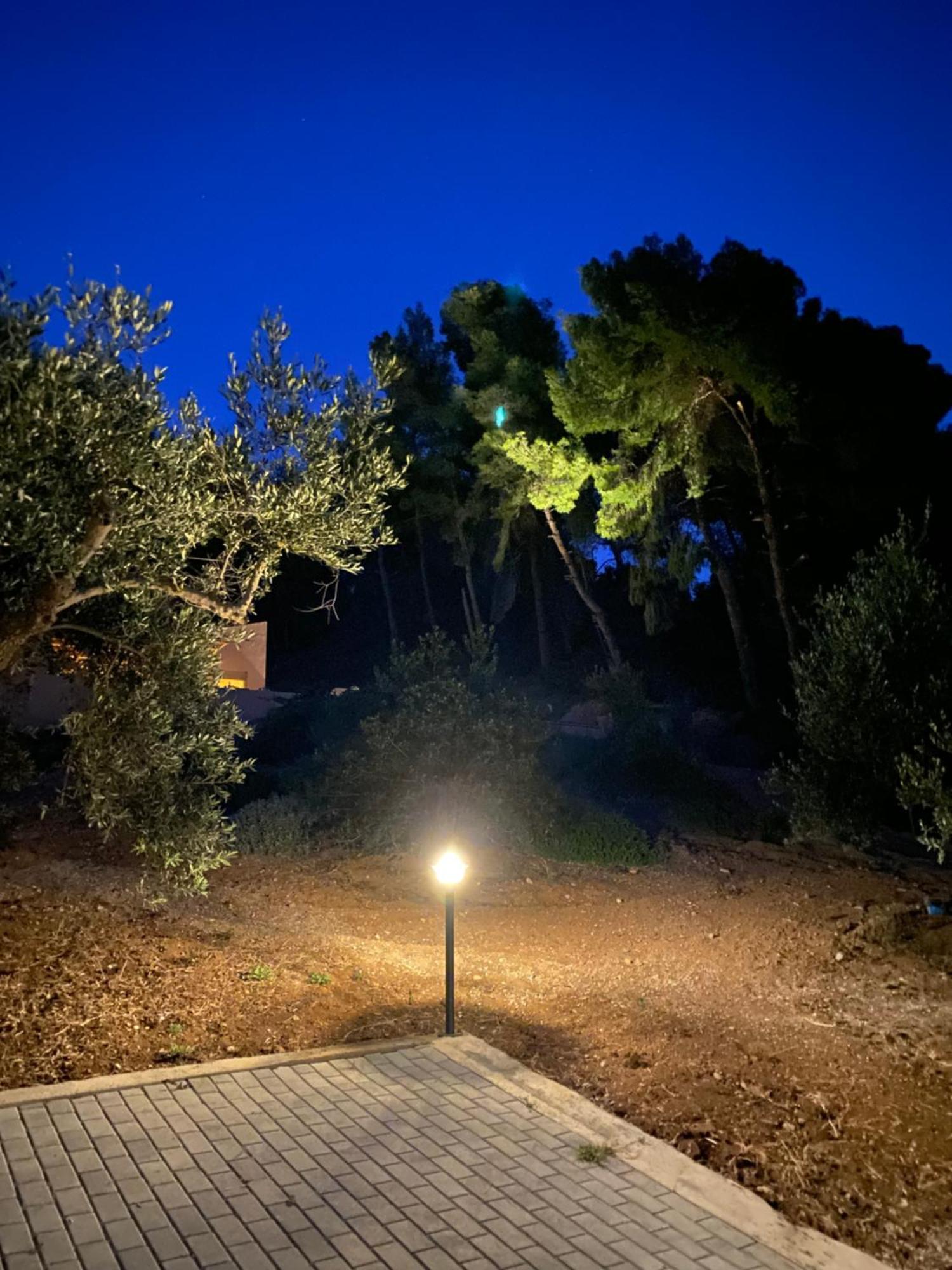 Askalosia Villa Ágios Geórgios Extérieur photo
